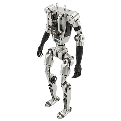 ai sapiens